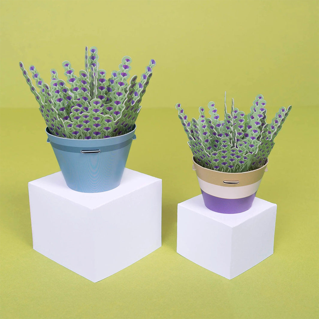 mini lavender plants Clockwork Soldier