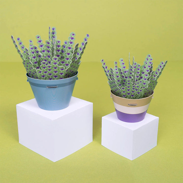 Make Your Own Calming Lavender Plants