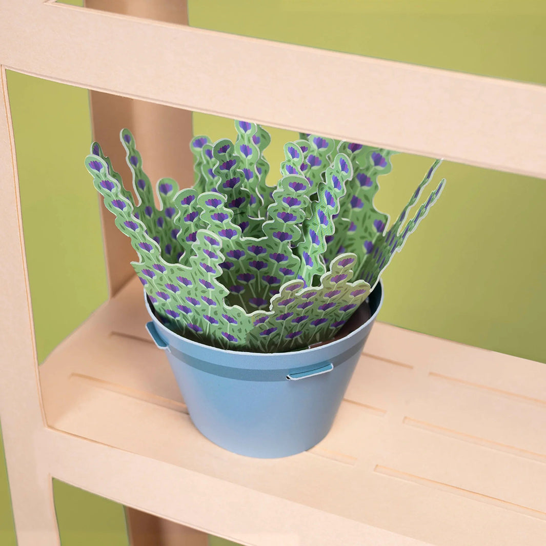 Make Your Own Calming Lavender Plants