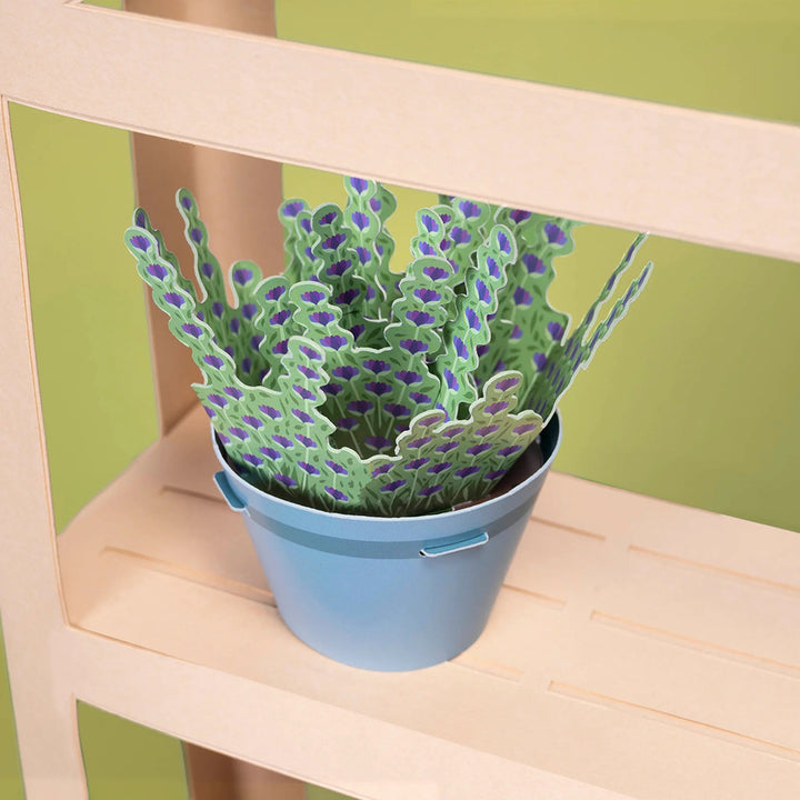 Make Your Own Calming Lavender Plants