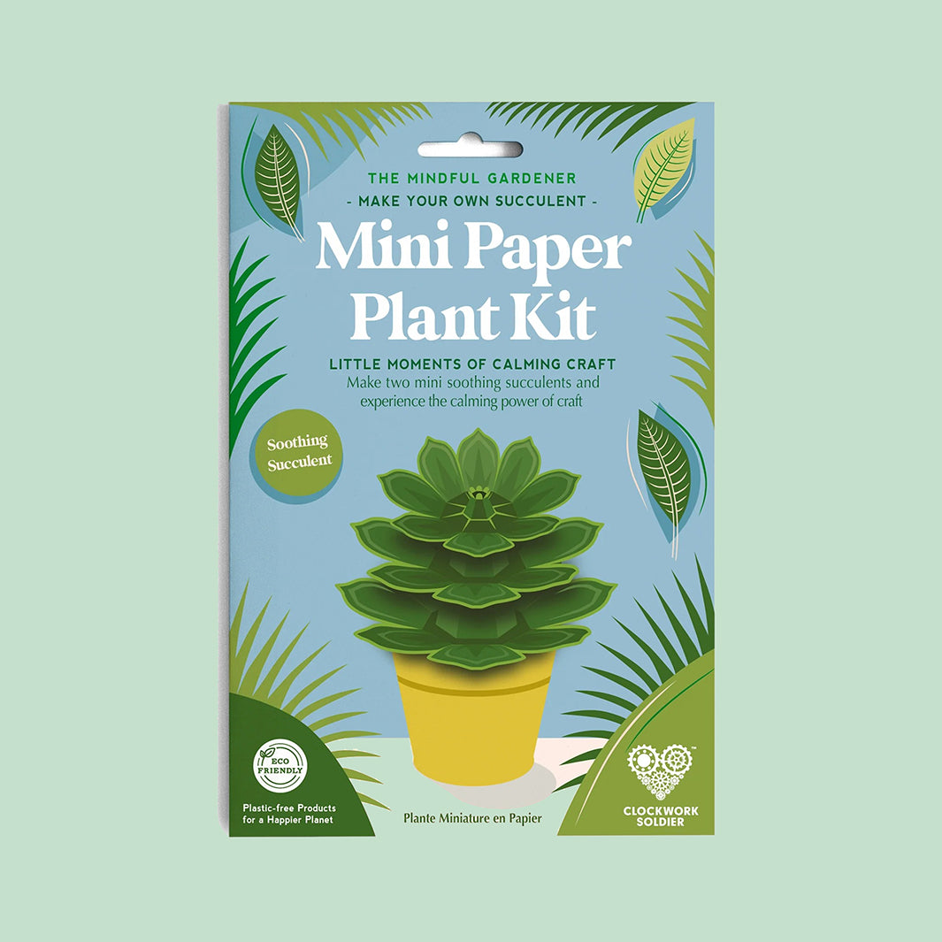 Make Your Own Soothing Succulents