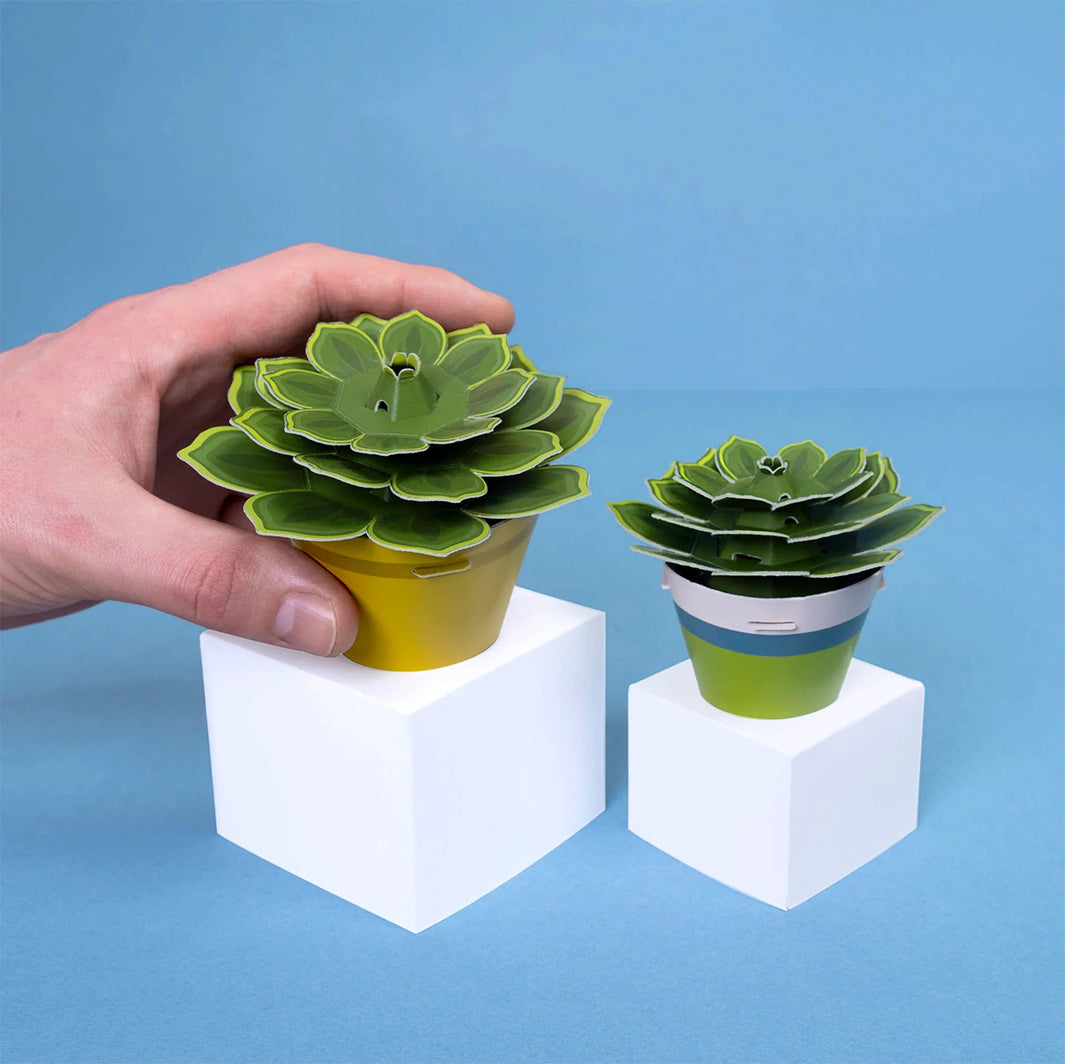 soothing succulents Clockwork Soldier