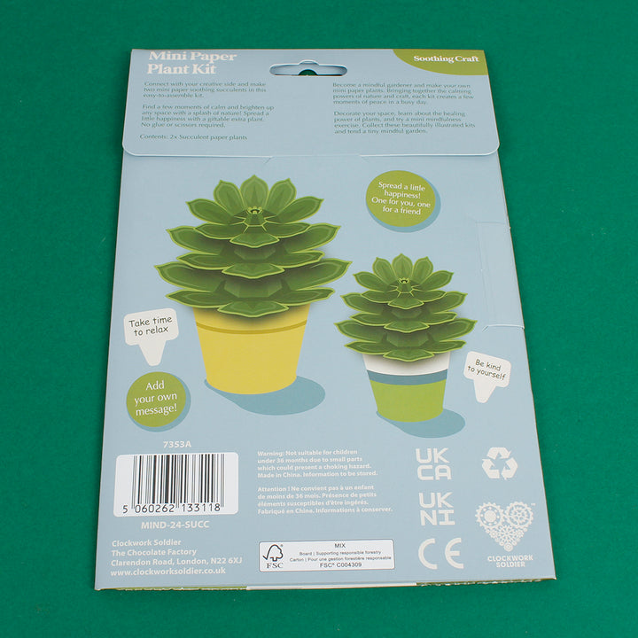 Make Your Own Soothing Succulents