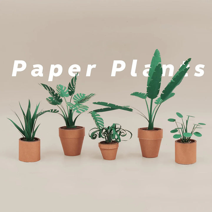 Paper Plants DIY Kit