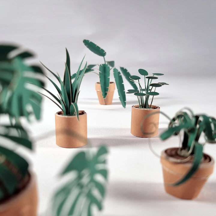 Paper Plants DIY Kit
