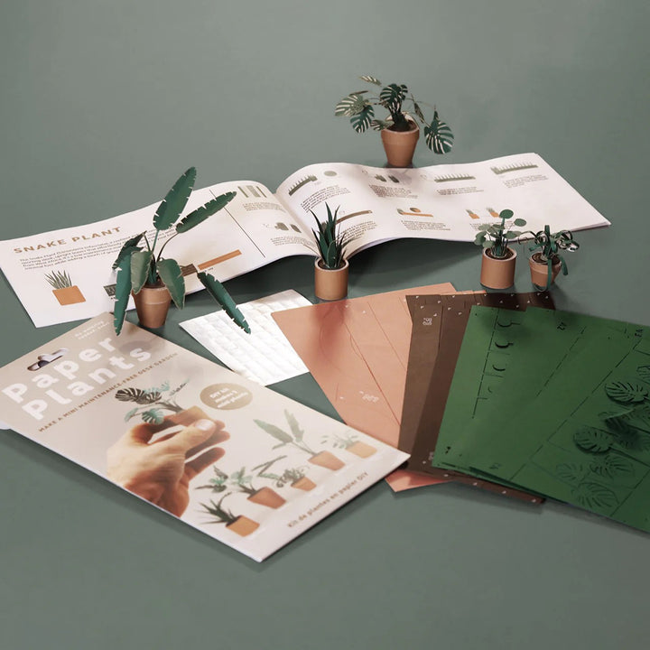 Paper Plants DIY Kit