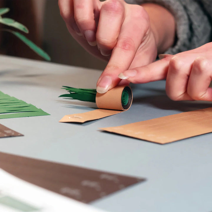 Paper Plants DIY Kit