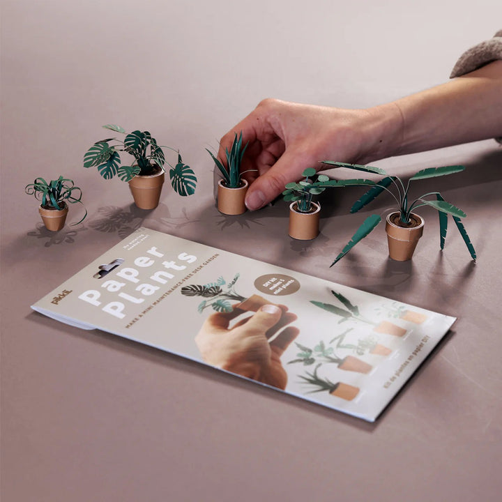 Paper Plants DIY Kit