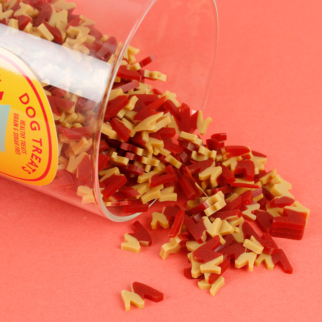 Refillable Dog Treat Tin with 50g Treats