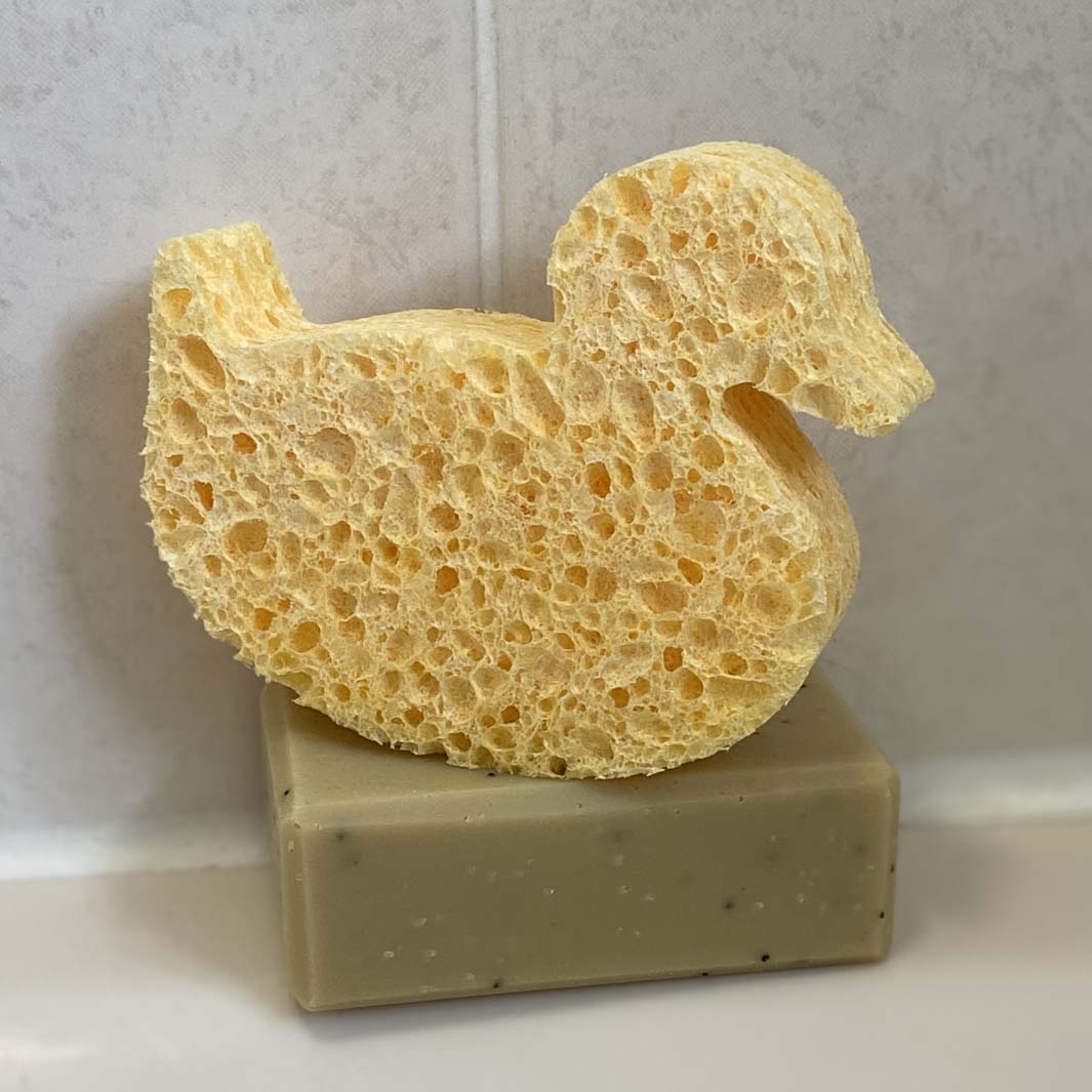 Duck Cellulose Sponge