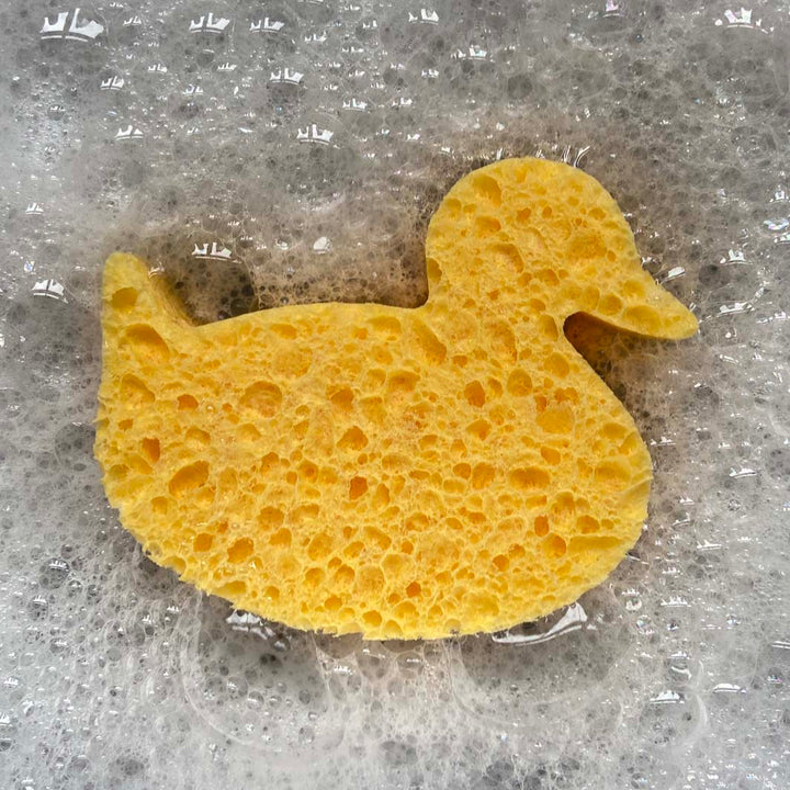 Duck Cellulose Sponge