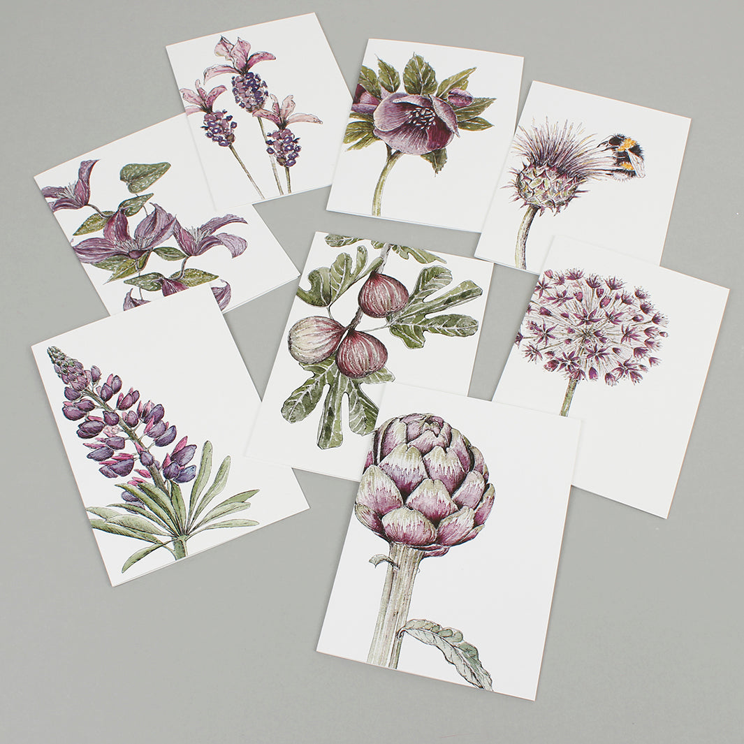 Mulberry Notecard Set - Mixed Box of 8