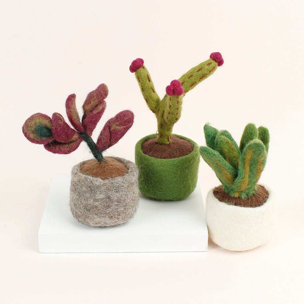 Felt so good | Felt Miniature Plant | Ficus Elastica