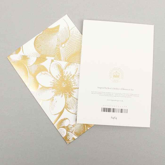 Kew Gardens - Sometimes In Life Words Are Not Enough Card - Green Tulip