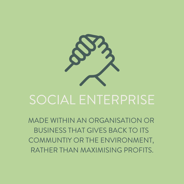 Organic Green Tea Pyramid Teabags - Tube of 15 - Green Tulip