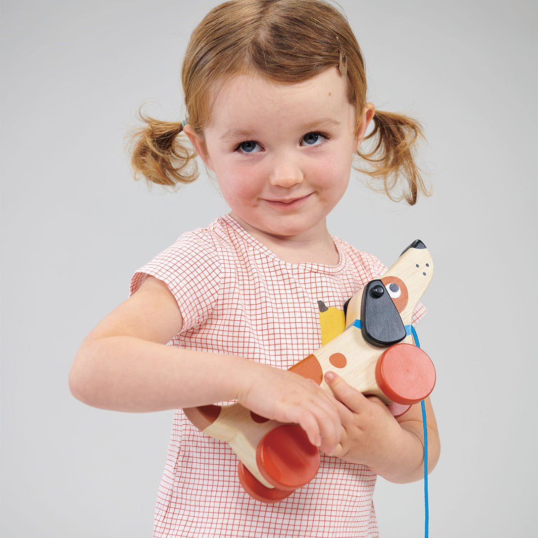 Puppy On Wheels - Green Tulip