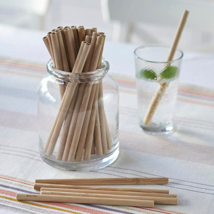 Precision Bamboo Straws - Set of 6 with brush