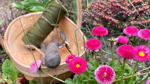 Making eco savings in the garden