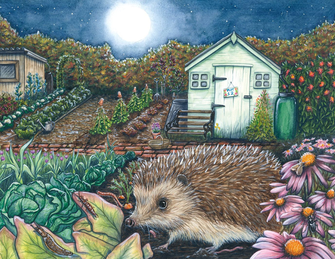 Bertie's Prickly Problem - Eco Children's Book