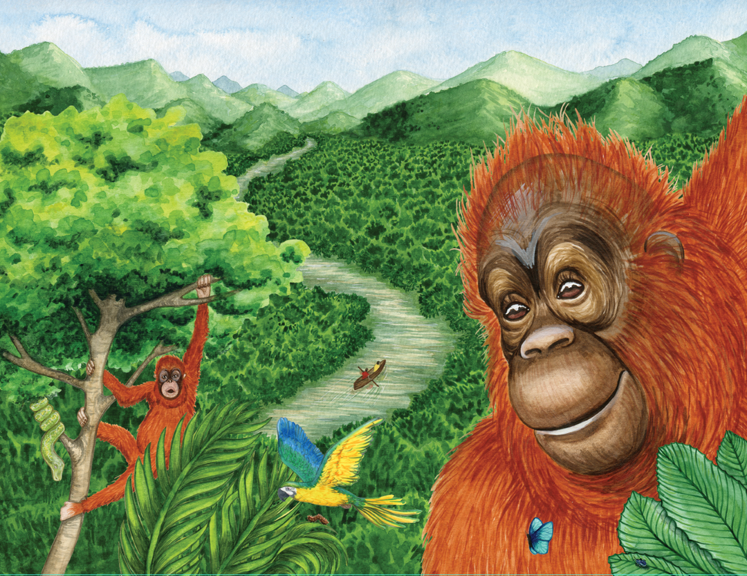 Buddy's Rainforest Rescue - Eco Children's Book