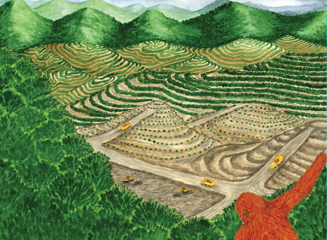 Buddy's Rainforest Rescue - Eco Children's Book