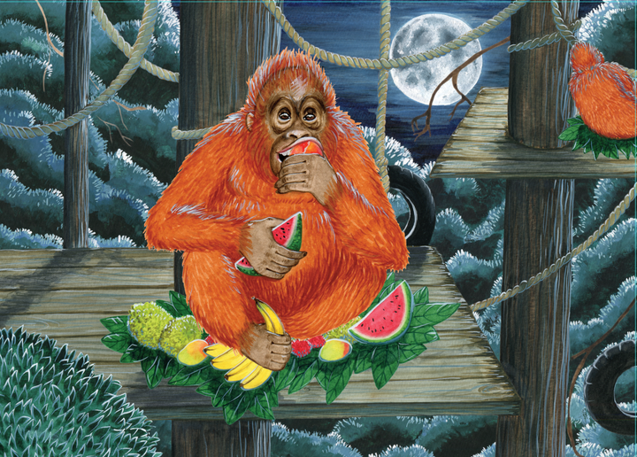 Buddy's Rainforest Rescue - Eco Children's Book