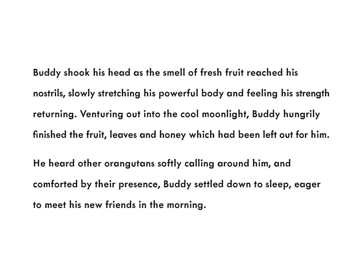Buddy's Rainforest Rescue - Eco Children's Book