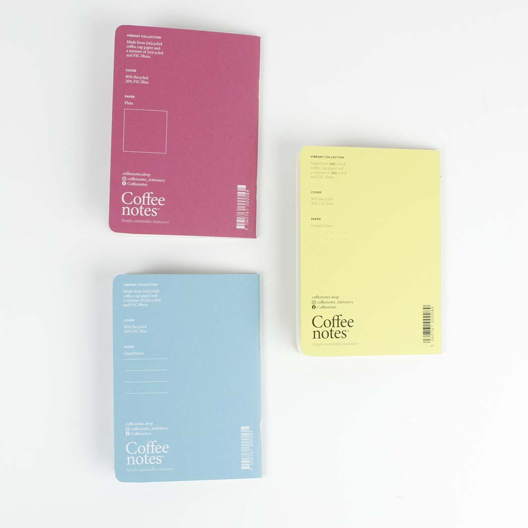 Set of 3 Stitched Notebooks - Piccolo (A6) - Vibrant
