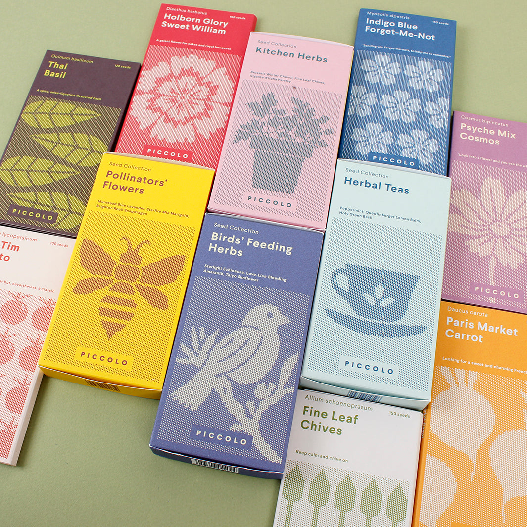 Herbal Teas Seed Collection - Pack of 3