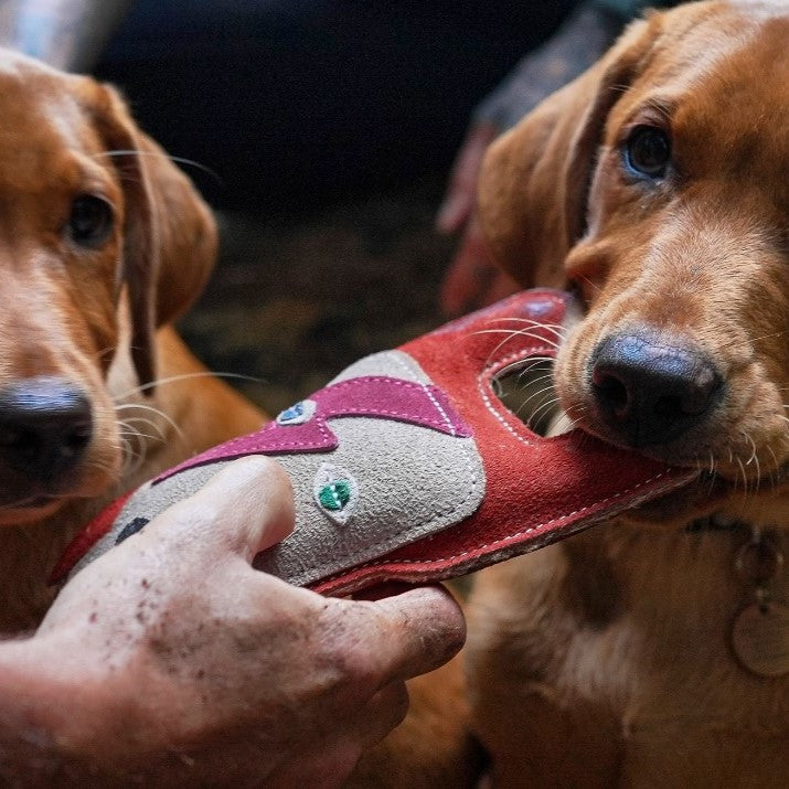 The King Eco Dog Toy