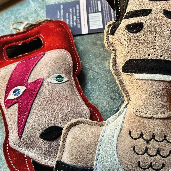Starman Eco Dog Toy