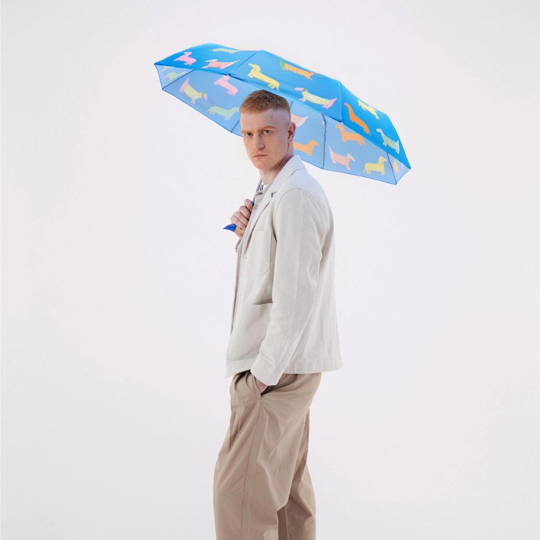 Dogs in Blue Duck Umbrella