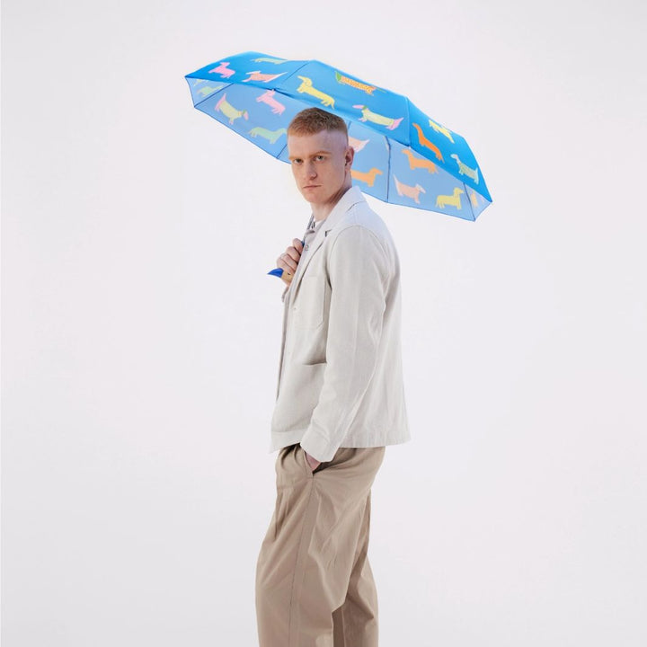 Dogs in Blue Duck Umbrella