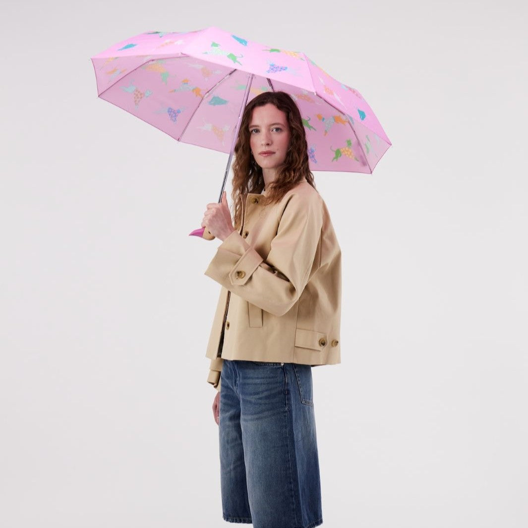 Dogs in Pink Duck Umbrella