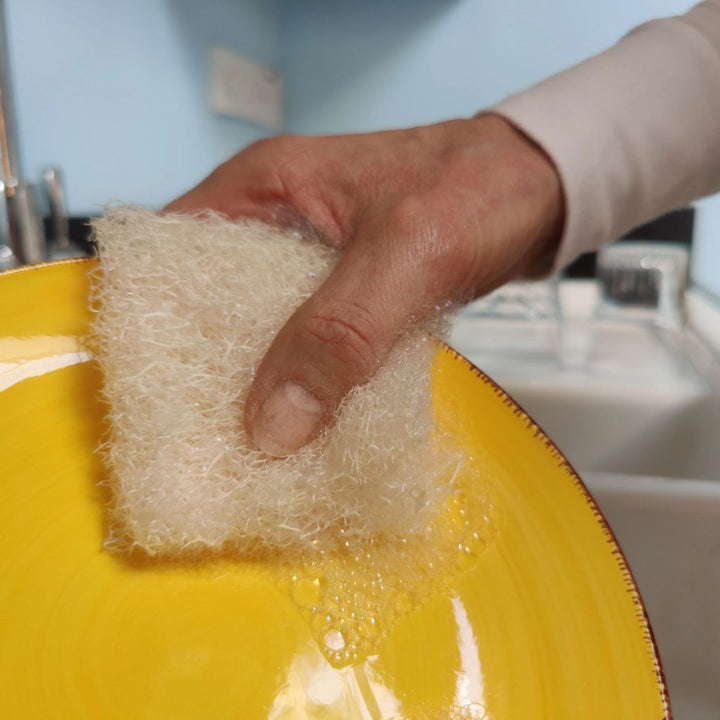 LoofCo Slim Compostable Washing-Up Pads – Pack of 4