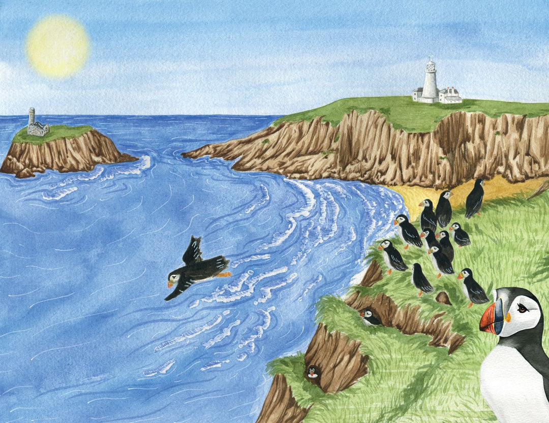 Marli's Tangled Tale - Eco Children's Book