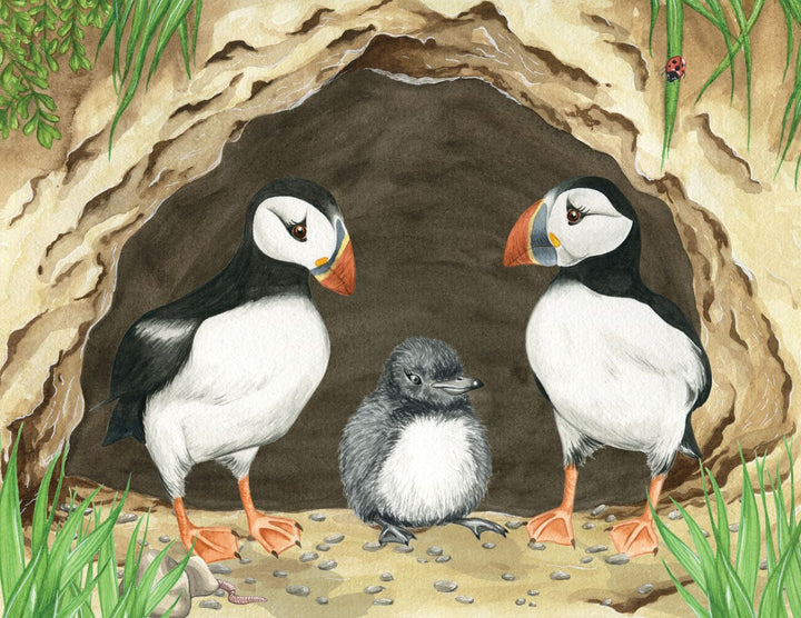 Marli's Tangled Tale - Eco Children's Book