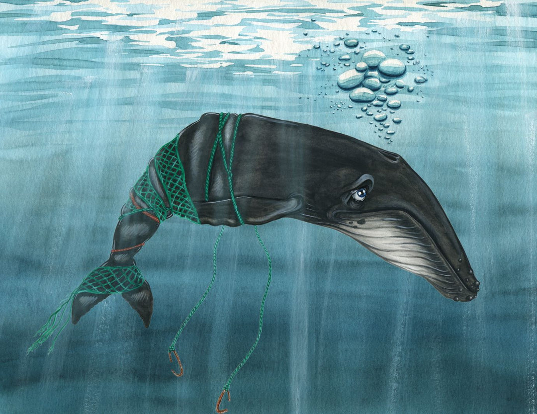 Nelson's Dangerous Dive - Eco Children's Book