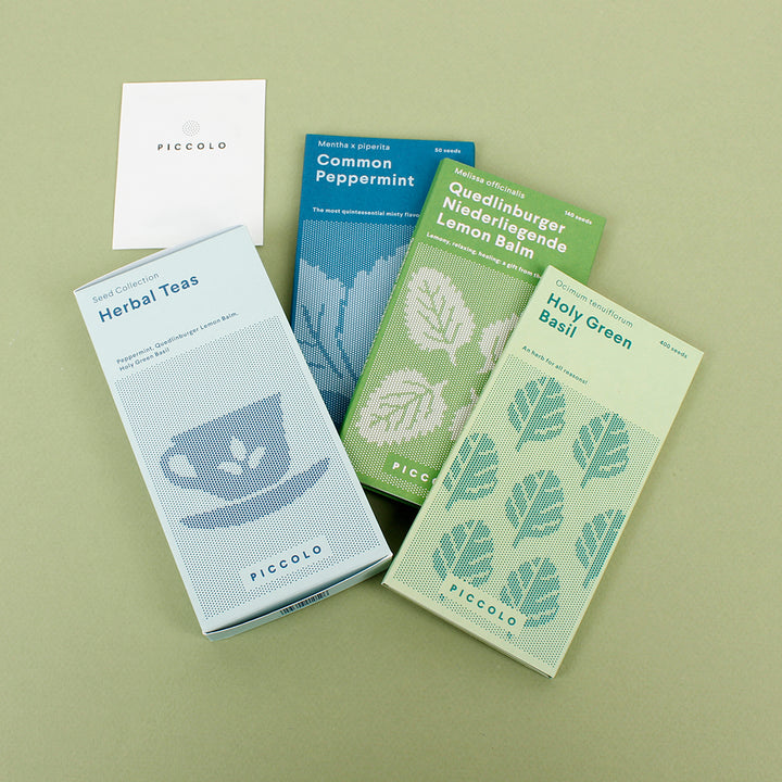 Herbal Teas Seed Collection - Pack of 3