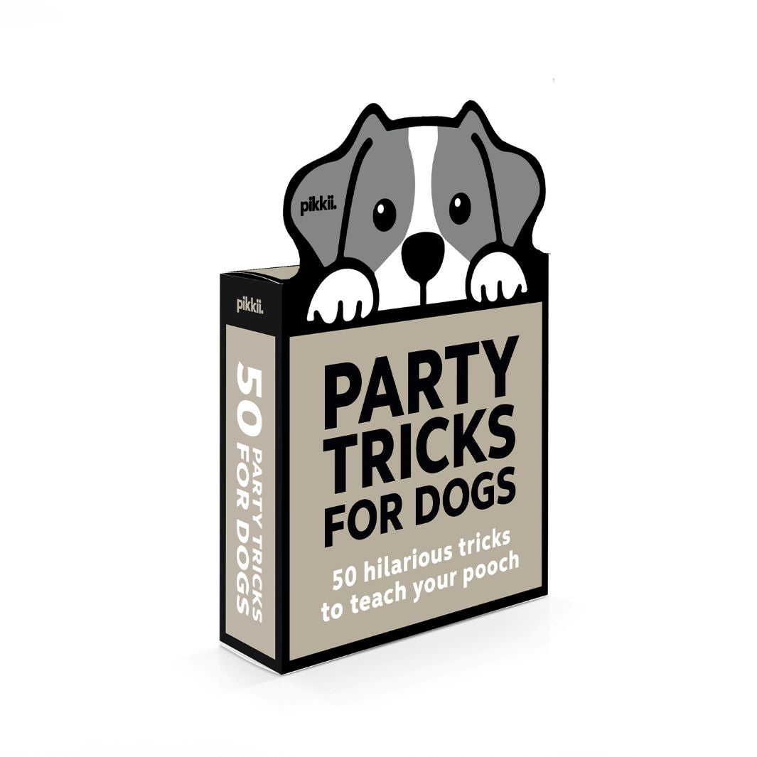 Mini Party Tricks for Dogs
