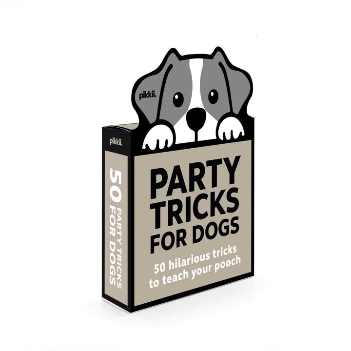 Mini Party Tricks for Dogs