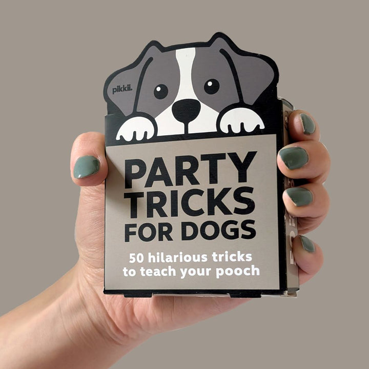 Mini Party Tricks for Dogs