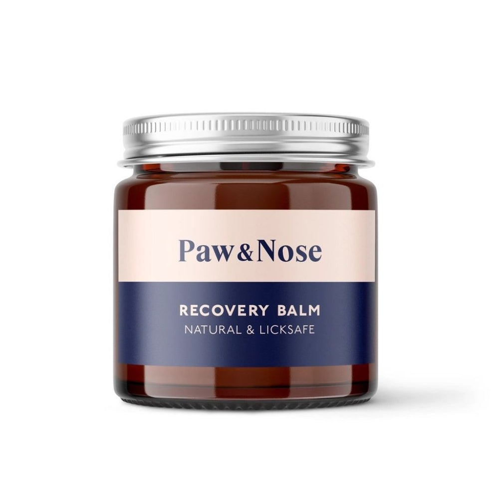 Paw & Nose Recovery Balm - Natural Dog Skin Soother