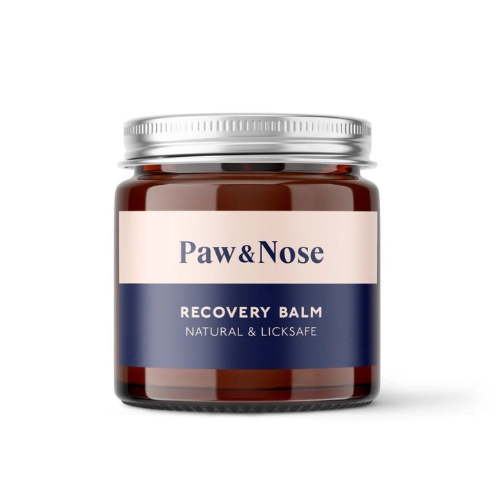 Paw & Nose Recovery Balm - Natural Dog Skin Soother