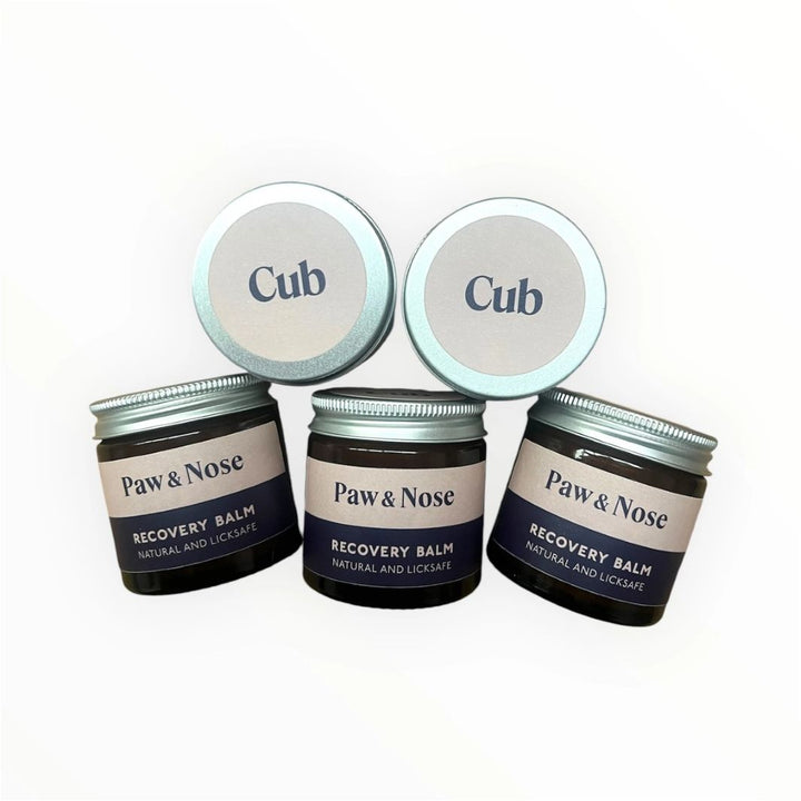 Paw & Nose Recovery Balm - Natural Dog Skin Soother