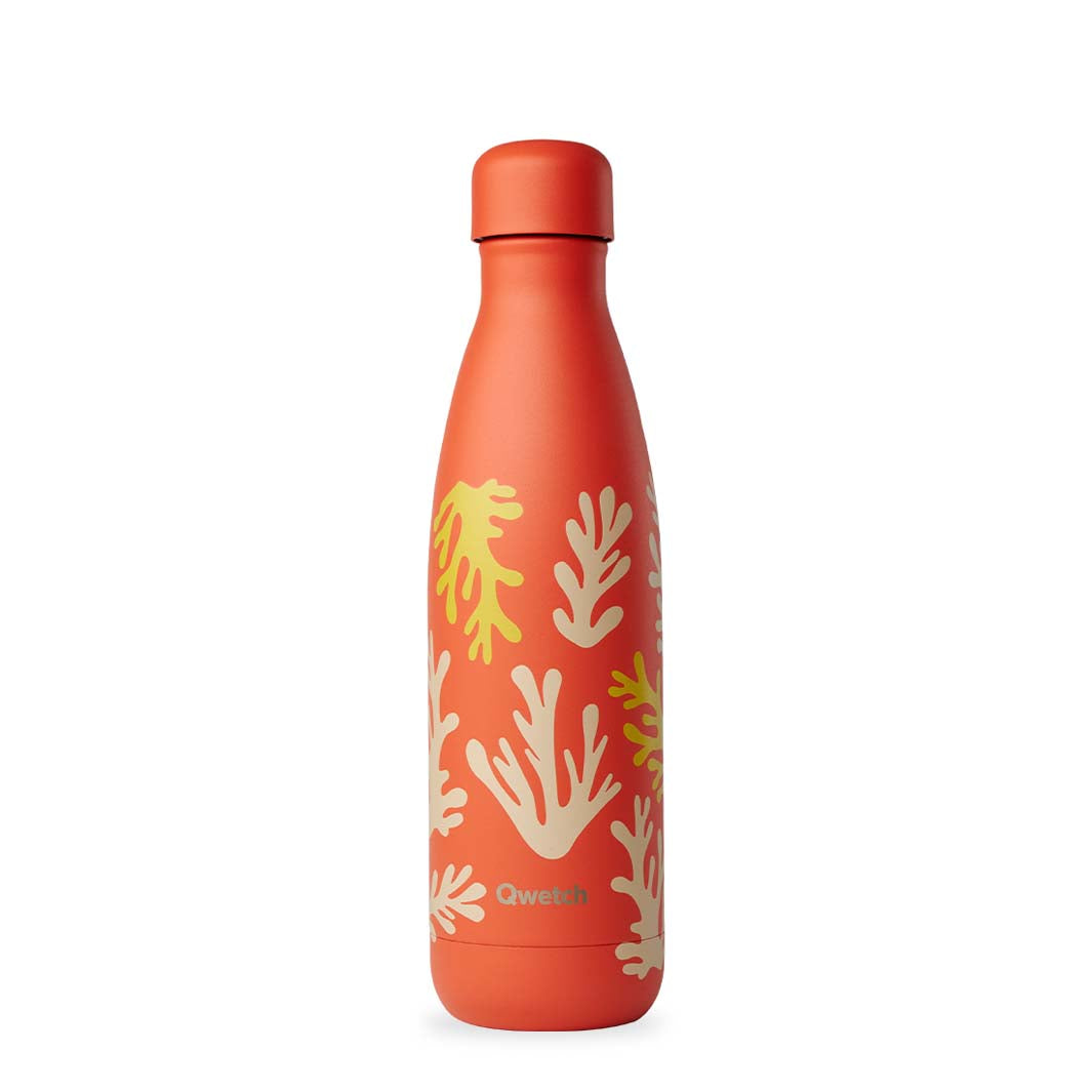 500ml Insulated Stainless Steel Bottle - Summer Pop Collection