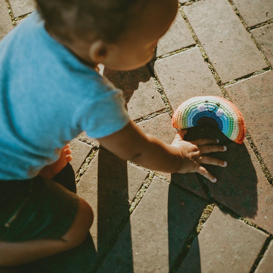 Friendly Rainbow Rattle