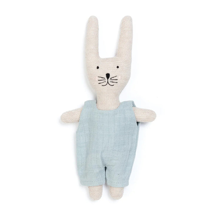 Pocket Pal Baby Rattle