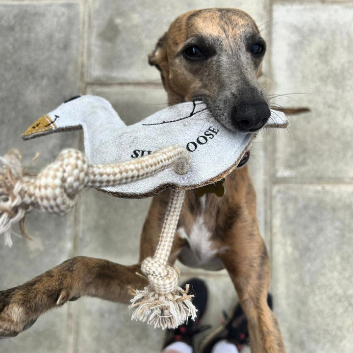 Silly Goose Eco Dog Toy