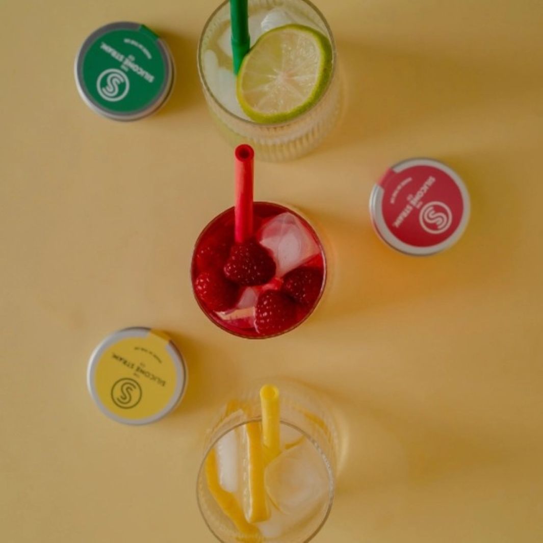 Reusable Silicone Straw with Travel Tin